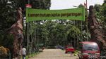 Asrinya Taman Hutan Kota di Utara Jakarta
