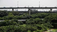 Taman Hutan Kota Penjaringan Jakarta Utara ini terletak di pinggir jalan tol tujuan Soekarno-Hatta. Terlihat dengan jelas asri dan hijaunya kawasan tersebut.
