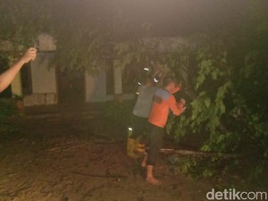 Puting Beliung Rusak Rumah dan Tumbangkan Puluhan Pohon di Bojonegoro