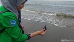 Foto: Aksi Mahasiswa Aceh Lestarikan Penyu