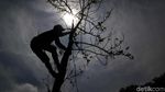 Asrinya Taman Hutan Kota di Utara Jakarta