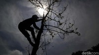Gubernur DKI Jakarta Anies Baswedan mengatakan pihaknya ingin memperbanyak jumlah ruang terbuka hijau di Ibu Kota. Menurutnya, persediaan ruang terbuka ini sangat penting untuk meningkatkan daya dukung lingkungan.