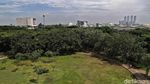 Asrinya Taman Hutan Kota di Utara Jakarta