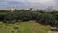 Taman Hutan Kota Penjaringan menjadi salah satu ruang terbuka hijau yang ramai dikunjungi oleh warga di utara kota Jakarta.