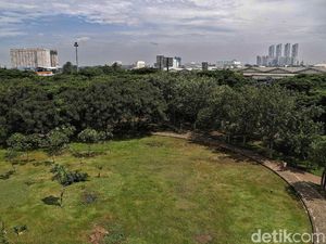 Asrinya Taman Hutan Kota di Utara Jakarta