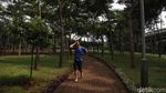 Asrinya Taman Hutan Kota di Utara Jakarta