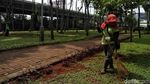 Asrinya Taman Hutan Kota di Utara Jakarta