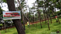 Sejumlah petugas Dinas Kehutanan pun rutin membersihkan kawasan Taman Hutan Kota Penjaringan, Jakarta agar tetap selalu bersih dan nyaman digunakan.