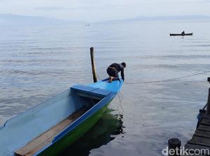 4 Kumbang Spesies Baru Ditemukan di Maluku Utara, Ini Penampakannya