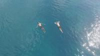 Jangan lupa menonton My Trip My Adventure: Anambas Sekeren Itu, Sabtu, 30 Maret 2019 pukul 08.30 WIB di Trans TV (My Trip My Adventure)
