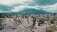 Dengan luas 25 ribu hektar, traveler bisa menikmati suasana alam liar ala Afrika di TN Baluran. Traveler juga bisa foto-foto instagenic di sini lho (Wisnu Yulianto/dTraveler)