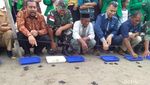 Foto: Aksi Mahasiswa Aceh Lestarikan Penyu