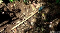 Peristiwa menggegerkan tersebut berlangsung di Kampung Pasirmuncang, Desa Pusakamulya, Kecamatan Kiarapedes, Kabupaten Purwakarta, Jawa Barat, Rabu (27/3/2019). Sang ibu, inisial W (35), mengubur anaknya tersebut saat suami bekerja di kebun. Penguburan ini dilakukan W diduga dipicu karena penyakit depresinya yang didera sejak masa kandungan 7 bulan.