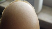 Sekilas mirip seperti telur, ternyata ini merupakan selai kacang yang baru saja disendok dari wadahnya. Tampilan luarnya sangat mulus! Foto: Istimewa