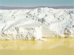 Karya Finalis Sony World Photography Awards Bikin Terpukau