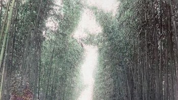 Suasananya masih sangat tradisional. Foto: Vintages