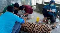 Haryono menjelaskan, luka bekas jeratan itu telah berbentuk jaringan nekrotik (jaringan membusuk) dengan diameter luka 4 cm. Kedalaman luka bekas jeratan 3 cm.