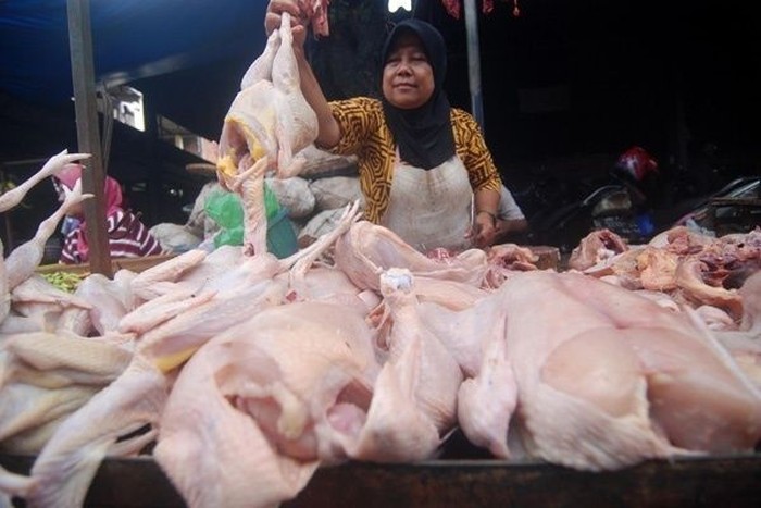 Harga Ayam Anjlok, Kementan Minta Kampanyekan Konsumsi Daging Ayam