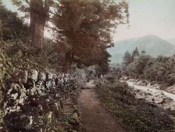 Potret Berwarna Ungkap Suasana Jepang Seabad Silam