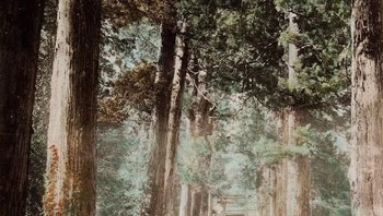 Tangga menuju sebuah kuil di Hakone pada tahun 1880. Foto: Vintages