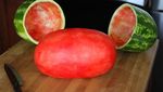 Punya Tampilan Sempurna, 10 Makanan Ini Bikin Kagum
