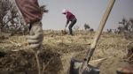 Melihat Peran Perempuan dalam Penghijauan Gurun di China