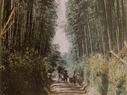 Potret Berwarna Ungkap Suasana Jepang Seabad Silam