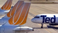 Ketika maskapai LCC lepas landas di Amerika Serikat pada pertengahan 2000-an, United merasakan tekanan dan membentuk Ted. Perjalanannya berlangsung hingga 2009 ketika operasinya kembali ke United (CNN Travel)