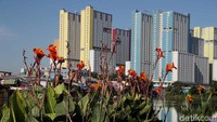 Berbagai jenis tanaman membuat kawasan ini semakin terlihat asri.