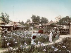 Potret Berwarna Ungkap Suasana Jepang Seabad Silam