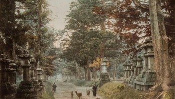 Kuil Kashuga di Nara pada tahun 1880. Foto: Vintages