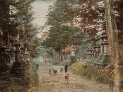 Potret Berwarna Ungkap Suasana Jepang Seabad Silam