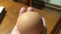 Bukan bola, tapi pria ini berhasil temukan telur yang memiliki bulatan sempurna. Foto: Istimewa