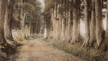 Jalan Imaichi di Nikko pada tahun 1880. Foto: Vintages