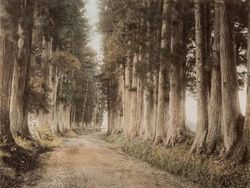 Potret Berwarna Ungkap Suasana Jepang Seabad Silam