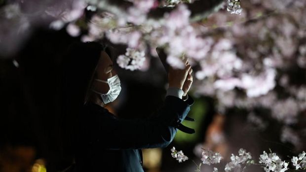 Sakura di Tokyo Jepang