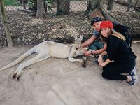 My Trip My Adventure: Menjelajahi Queensland di Australia