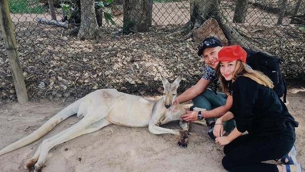 Inka Fitria dan Bima Aryo bermain dengan kanguru. Lucu banget kan kanguru yang satu ini? (My Trip My Adventure)