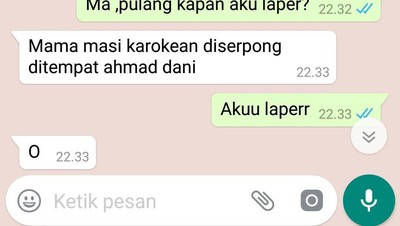 Kocak! Begini Jika Netizen Chatting Orang Tua Soal Makanan