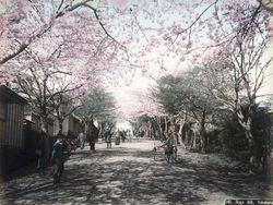 Potret Berwarna Ungkap Suasana Jepang Seabad Silam