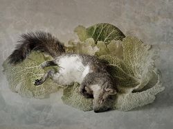 Karya Finalis Sony World Photography Awards Bikin Terpukau