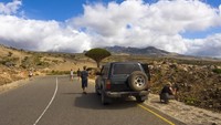 UNESCO mengakui Pulau Socotra sebagai Situs Warisan Alam Dunia. Namun, turis diizinkan untuk jalan-jalan ke sana (iStock)