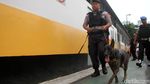 Anjing Pelacak Mulai Sterilisasi Lokasi Debat Keempat Pilpres