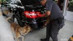 Anjing Pelacak Mulai Sterilisasi Lokasi Debat Keempat Pilpres