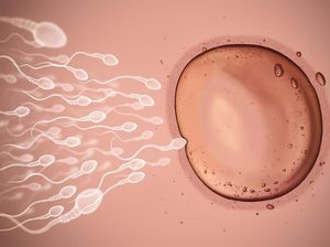 Bukan Kebetulan, Ini Alasan Sperma Punya Bentuk Mirip Kecebong
