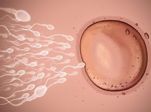 Nekat Buka Pabrik Sperma Ilegal di Medsos, Pria Ini Klaim Punya 180 Anak di Dunia