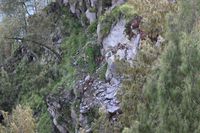 Jalur Pendakian Gunung Rinjani Masih Disurvei Demi Kelayakan