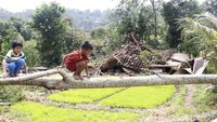 Meski kejadian itu merusak puluhan rumah warga, menurut Kapten Inf Furqon tidak ada korban jiwa dalam insiden tersebut.
