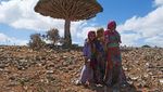 Foto: Pulau di Bumi yang Seperti di Planet Lain