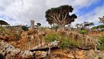 Foto: Pulau di Bumi yang Seperti di Planet Lain
